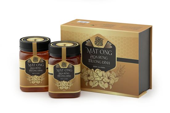 mat-ong-hoa-rung-thuong-dinh